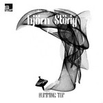 cover: Bjorn Storig - Humming Top