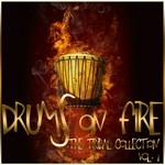 cover: Various - Drums On Fire (The Tribal Collection Vol 1)