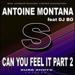 cover: Montana, Antoine|Dj Bo - Can You Feel It Part 2