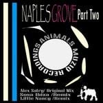 cover: Alex Satry - Naples Groove/Part Two