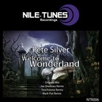 cover: Pete Silver - Welcome To Wonderland