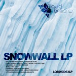 cover: Chinensis|Faible|Jc|Joseph Ablett|Londy|Release|Scott Allen|Solarcube - Snowwall LP