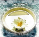 cover: Sacral Reason - Soul Splinters