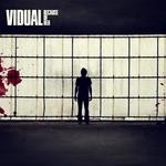 cover: Vidual - Because Of Her