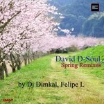 cover: David D Soul - Spring