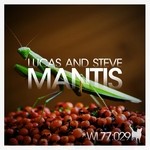 cover: Lucas & Steve - Mantis