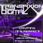 cover: Cryptix - It's Perfect