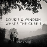 cover: Soukie & Windish - Whats The Cure