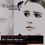 cover: Vinitsky, Paul|Lo-fi Sugar - All I Know Now