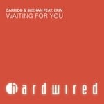 cover: Garrido|Skehan|Erin - Waiting For You