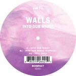 cover: Walls - Into Our Midst