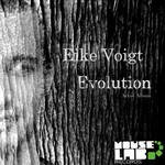 cover: Eike Voigt - Evolution