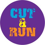 cover: Cut & Run - Bound To Rush