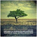 cover: Citizen Sound|Melodic|Jahdan Blakkamoore - Seasons Change