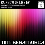 cover: Tim Besamusca - Rainbow Of Life EP