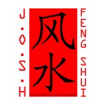 cover: Josh - Feng Shui