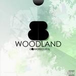 cover: Escalante, Joaquin|Dani Morera|Onyc|Albert Alonso - Woodland