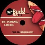 cover: 8 Bit (armenia) - Fake DJs