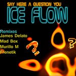 cover: Ice Flow - Say Here A Question You