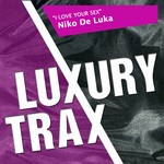 cover: Niko De Luka - I Love Your Sex