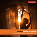 cover: Hairdryer - Back To The Sunshine