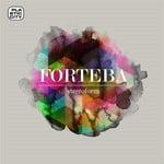 cover: Forteba - Stereoform