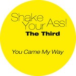 cover: Shake Your Ass - The Third