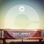 cover: Alex Arnout - Monetary Blues EP