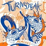 cover: Turnsteak - Engrenage (remix EP)