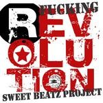 cover: Sweet Beatz Project - Fucking Revolution