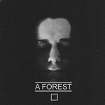 cover: A Forest - A Square