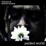 cover: Dubnine|Andrea Milana - Perfect World