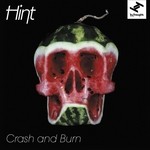 cover: Hint|Natalie Storm - Crash & Burn