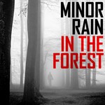 cover: Minor Rain - In The Forest