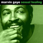 cover: Marvin Gaye - Sexual Healing