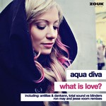 cover: Aqua Diva - What Is Love?