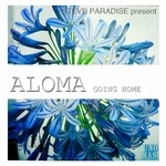 cover: Palomar - Going Home