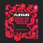 cover: Flevans - Hold On