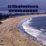 cover: Various - Tribalmixes Promopool