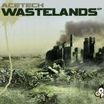 cover: Acetech - Wastelands EP