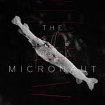 cover: The Micronaut - ACKERCD003_The Micronaut_Friedfisch LP