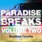 cover: Badboe|Various - Paradise Breaks Volume Two