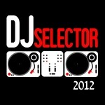 cover: Various - DJ Selector 2012