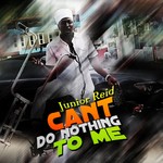 cover: Junior Reid - Can't Do Nothing To Me