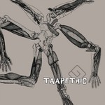 cover: Taapet - Taapethic