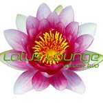 cover: Various - Lotus Lounge Vol 2