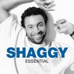 cover: Shaggy - Essential (Explicit)