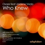 cover: Jaidene Veda - Who Knew