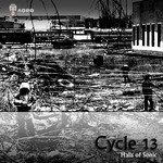 cover: Cycle 13 - Halls Of Sonic