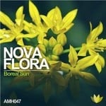 cover: Boreal Sun - Nova Flora